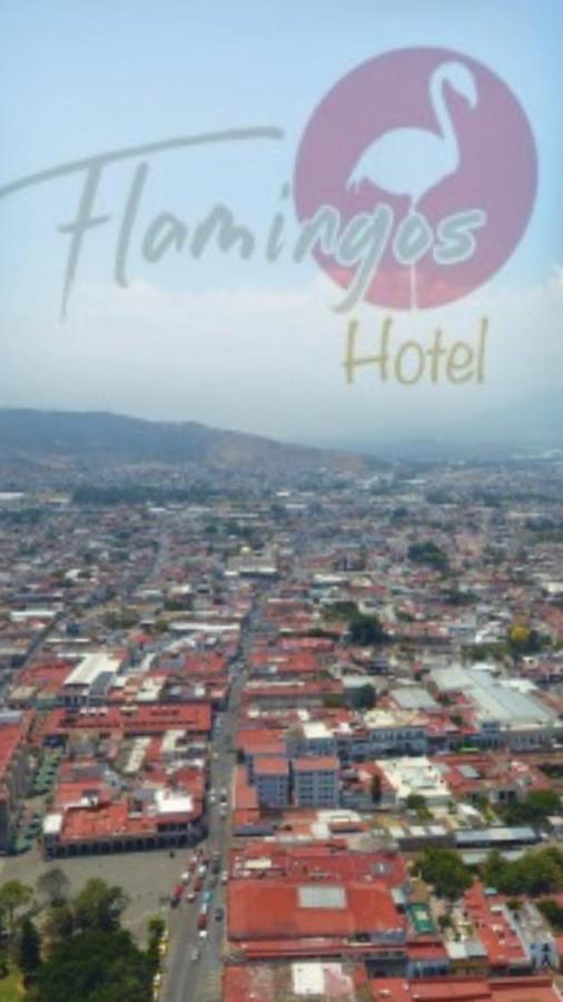 Hotel Flamingos De シウダード・グスマン エクステリア 写真
